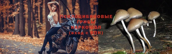 мефедрон Алзамай
