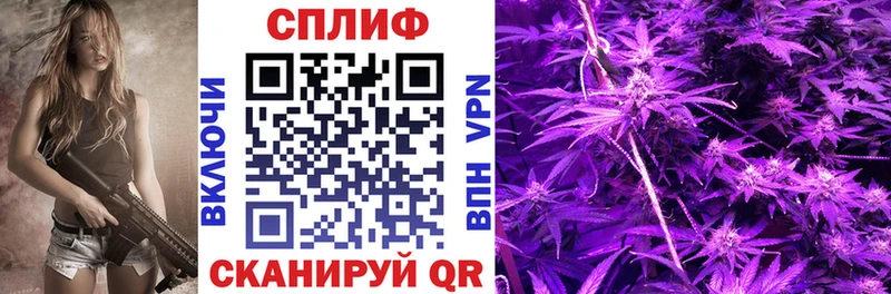 купить закладку  маркетплейс клад  Каннабис SATIVA & INDICA  Сасово 